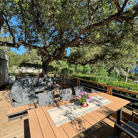 Vue Mer, Jacuzzi, Terrase, Jardin